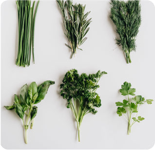 Boosting Your Immune System Naturally: Foods and Habits...